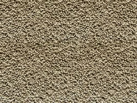 ZT · SJ601 (alkaline)